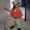 ulises_cr7